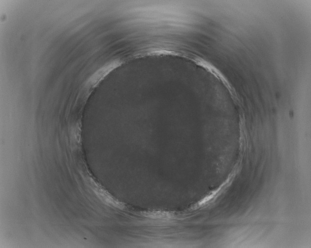 X0000066090785200603171054