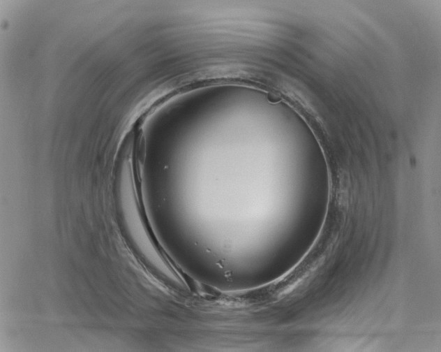 X0000066090786200603171054