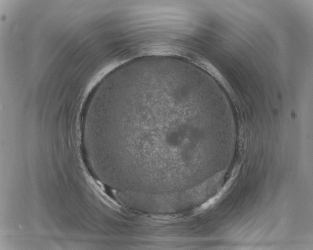 X0000066090787200603171054