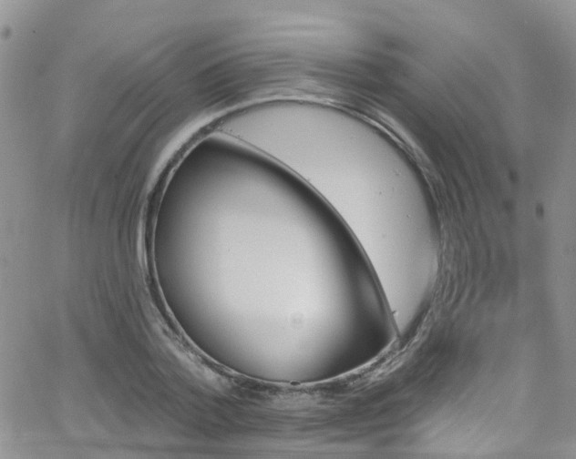 X0000066090788200603171054