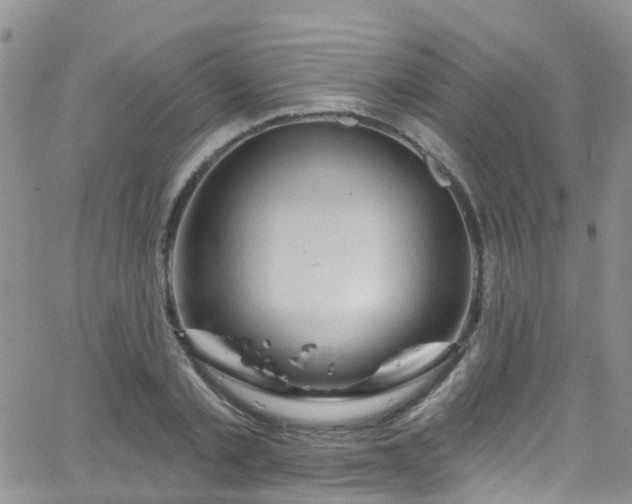 X0000066090789200603171054