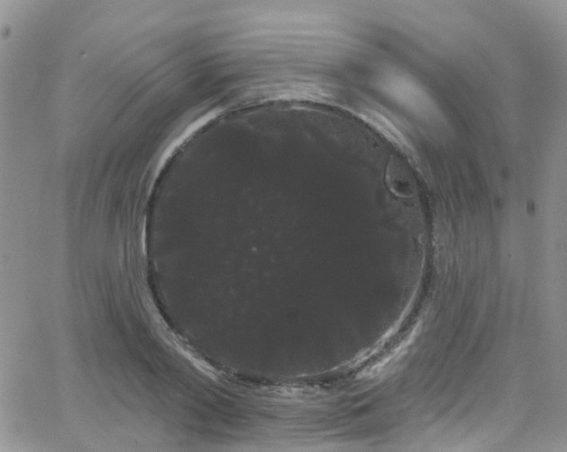 X0000066090790200603171054