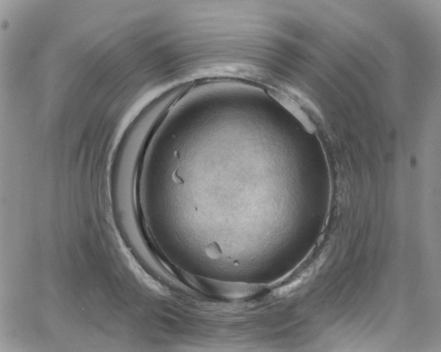 X0000066090792200603171054