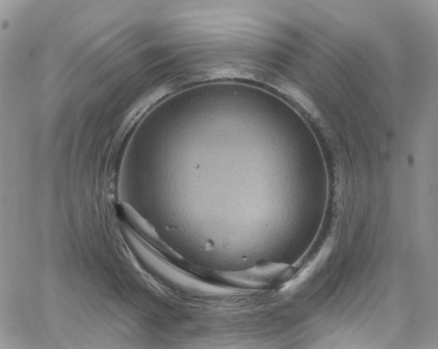 X0000066090793200603171054