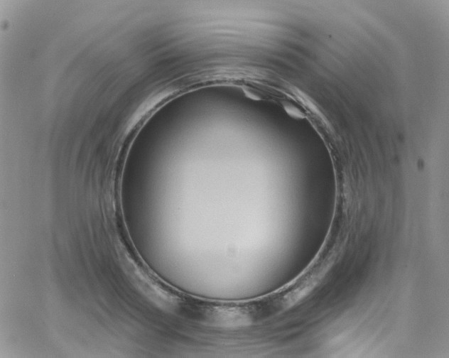 X0000066090794200603171054