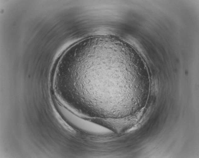 X0000066090795200603171054