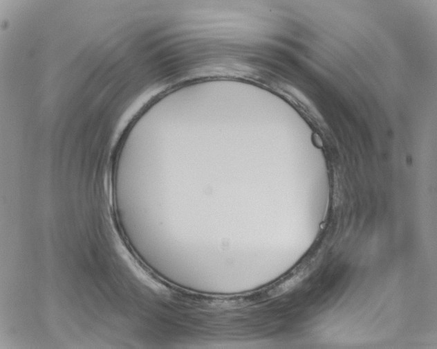 X0000066090796200603171054