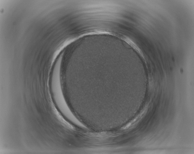 X0000066090797200603171054