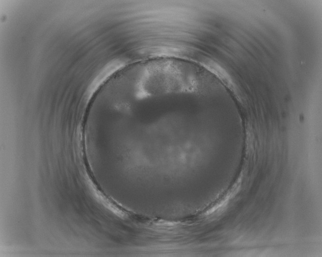 X0000066090798200603171054