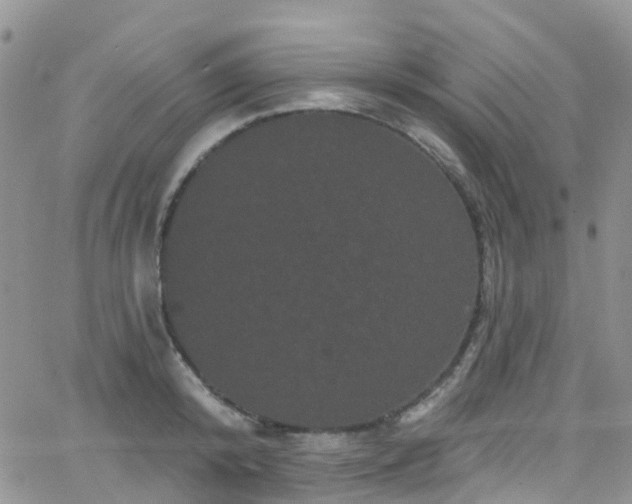 X0000066090800200603171054