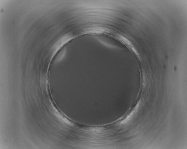 X0000066090802200603171054