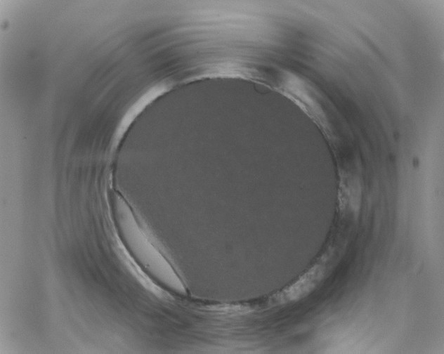 X0000066090804200603171054