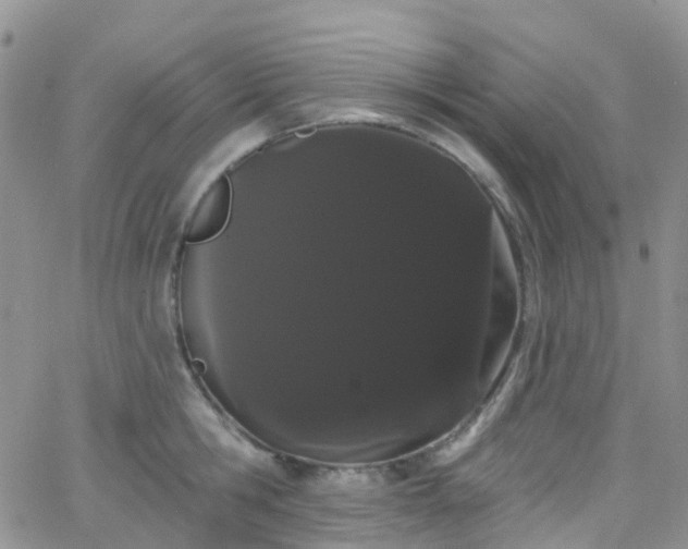 X0000066090806200603171054