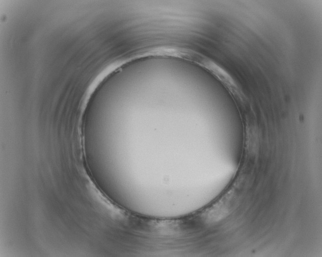 X0000066090808200603171054