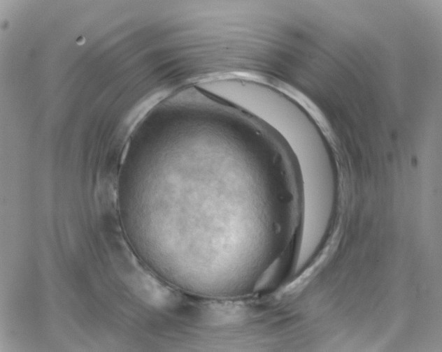 X0000066090809200603171054