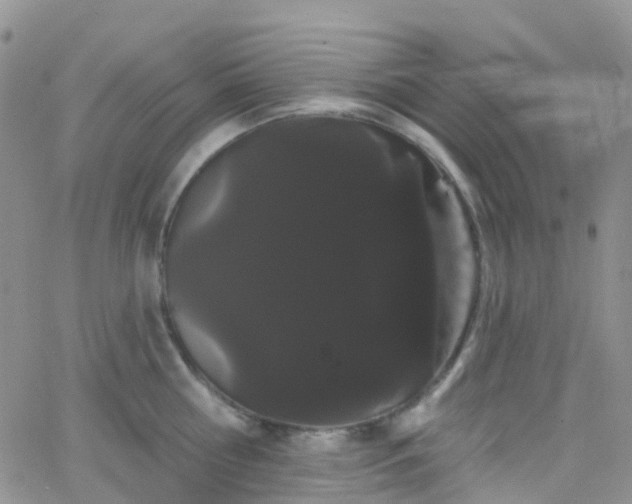 X0000066090810200603171054