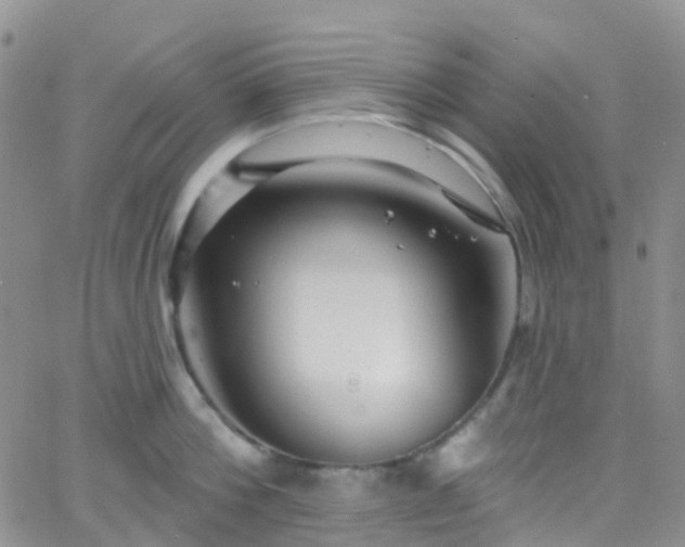 X0000066090812200603171054