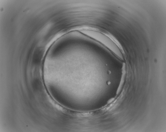 X0000066090813200603171054