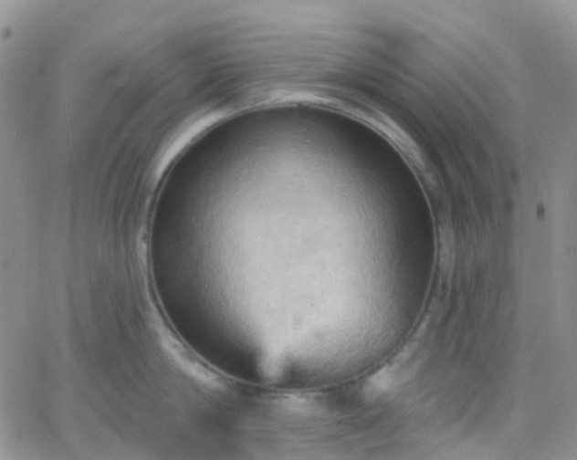 X0000066090814200603171054