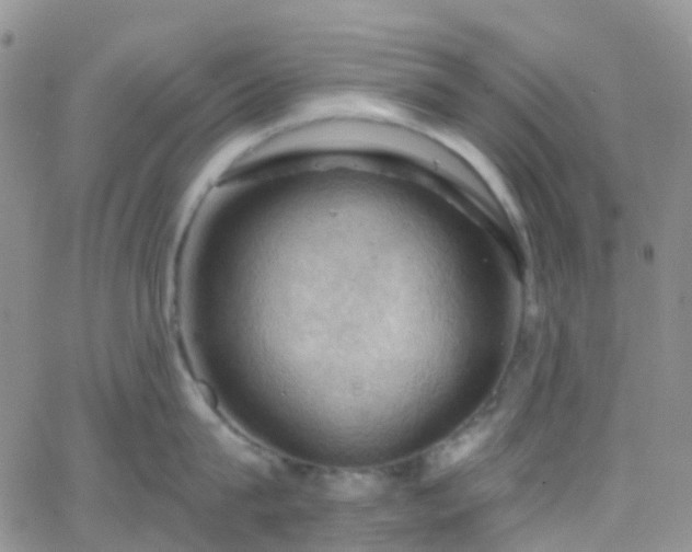 X0000066090815200603171054