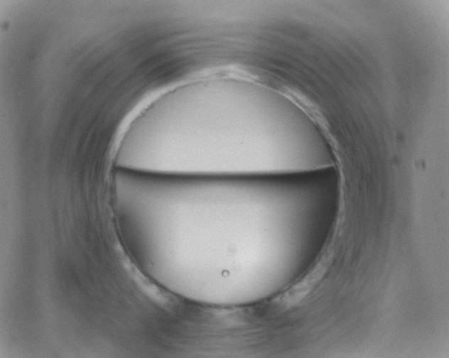 X0000066090816200603171054