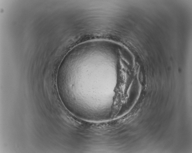 X0000066090817200603171053