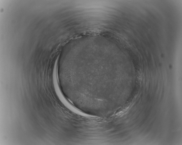 X0000066090818200603171053