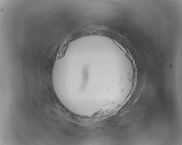 X0000066090820200603171053