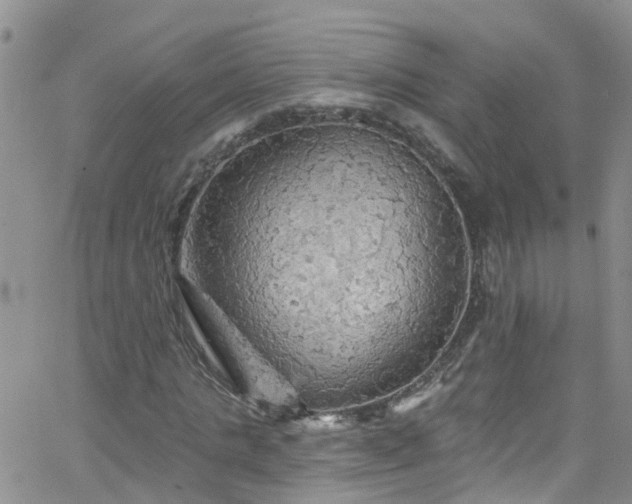 X0000066090821200603171053