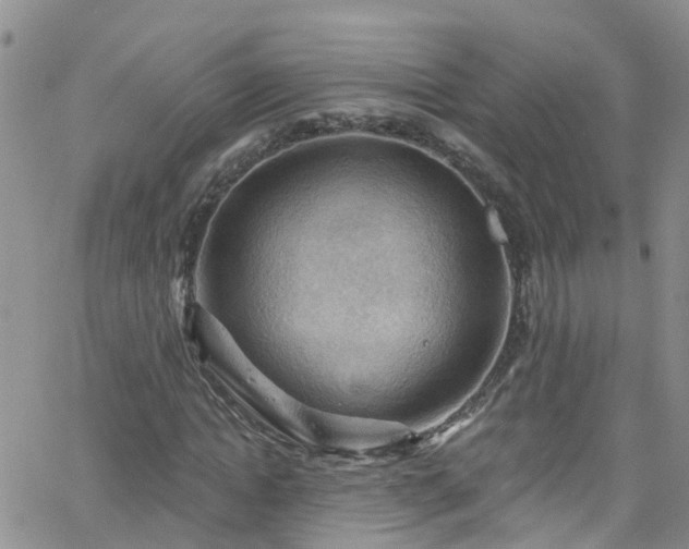 X0000066090822200603171053