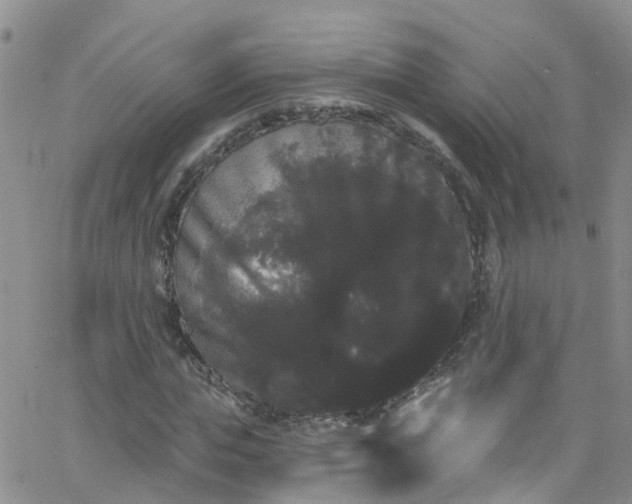 X0000066090823200603171053