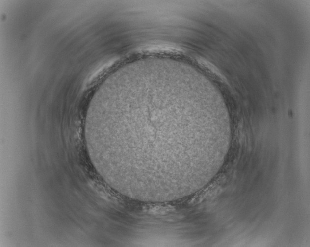 X0000066090824200603171053