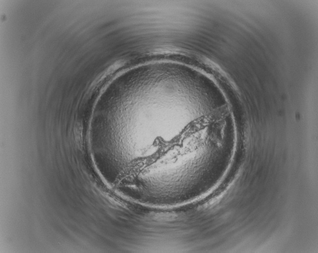 X0000066090825200603171053