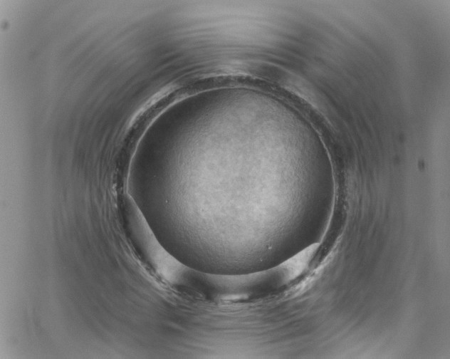 X0000066090826200603171053