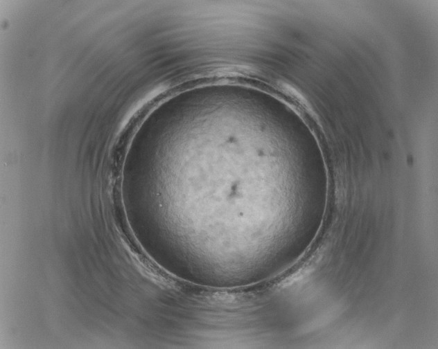 X0000066090827200603171053