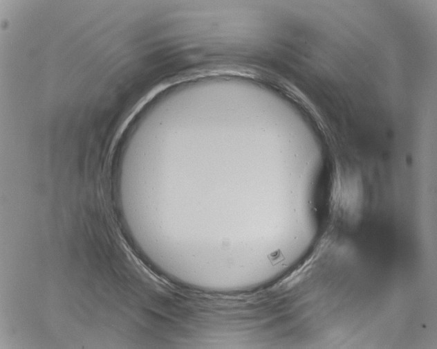 X0000066090828200603171053