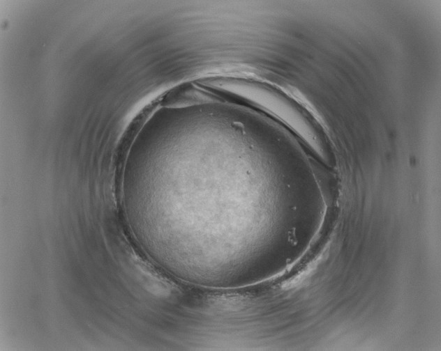 X0000066090830200603171053