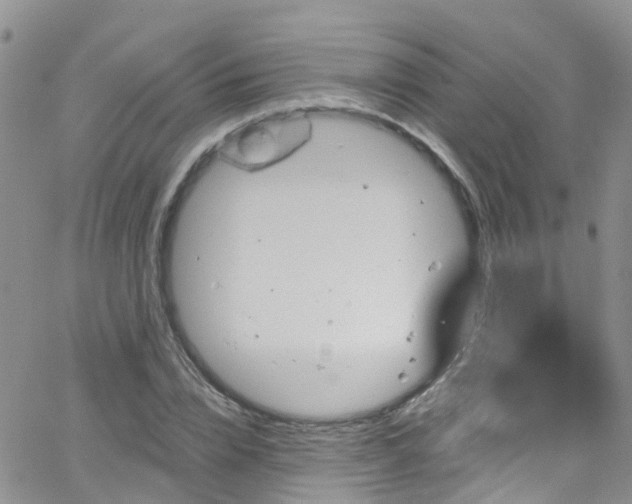 X0000066090832200603171053