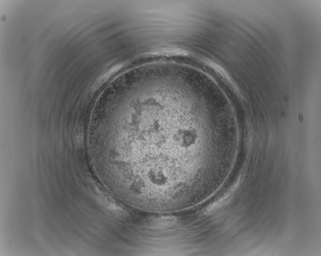 X0000066090833200603171053