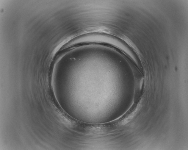 X0000066090834200603171053