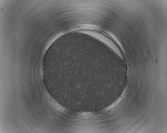 X0000066090835200603171053