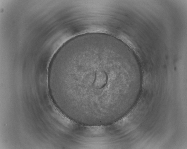 X0000066090836200603171053