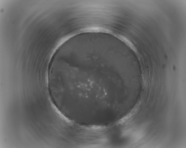 X0000066090839200603171053