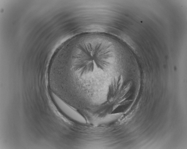 X0000066090840200603171053