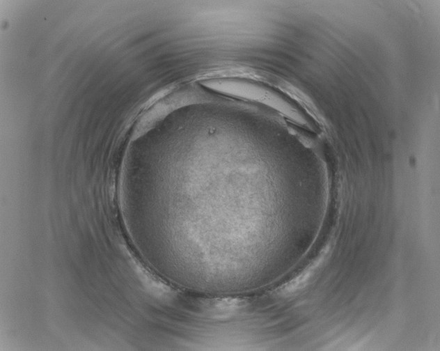 X0000066090841200603171053