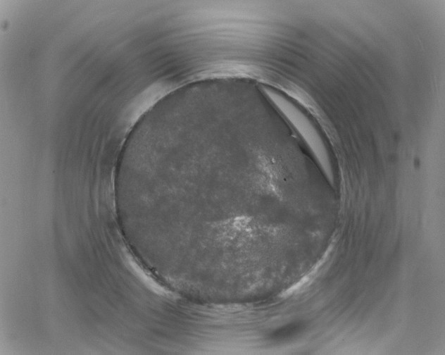 X0000066090842200603171053