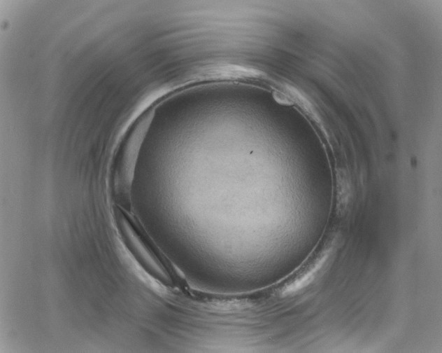 X0000066090843200603171053