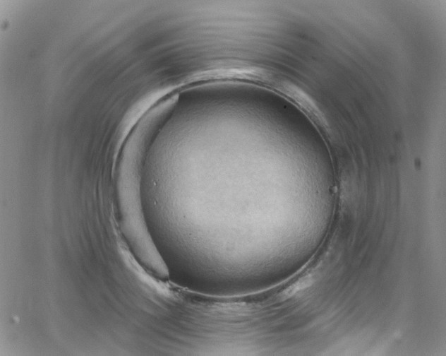 X0000066090844200603171053