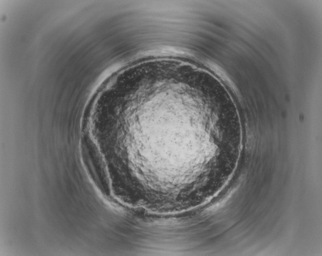 X0000066090845200603171053