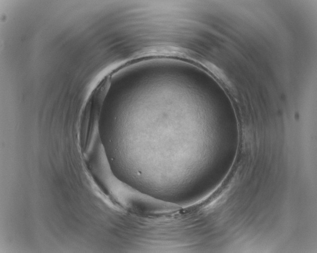 X0000066090846200603171053